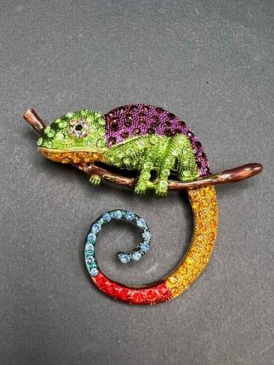 Accessories - CHAMELEON NWT RHINESTONE BROOCH NWT